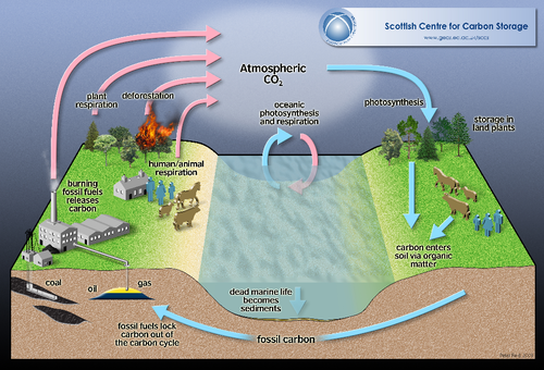 CarbonCycle.png