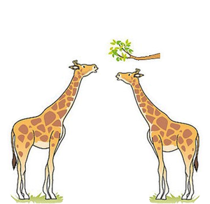 GiraffeEvolution3.png