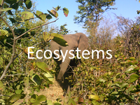 EcosystemsLogo.png