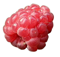 RaspberryFruit.png