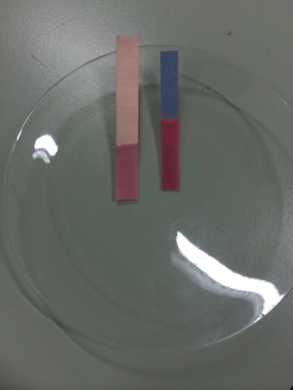 litmus-paper-key-stage-wiki