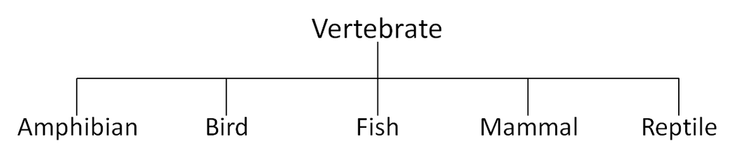 VertebrateClassification.png