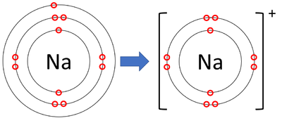 bohr model for sodium