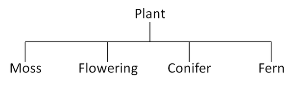 PlantClassification.png