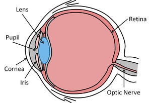 EyeDiagram.png