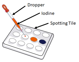 IodineStarch.png