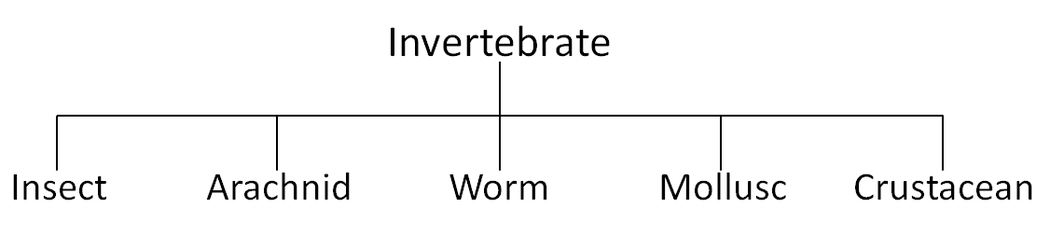 InvertebrateClassification.png