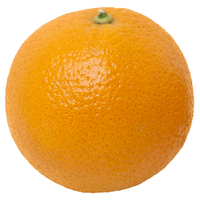 OrangeFruit.png