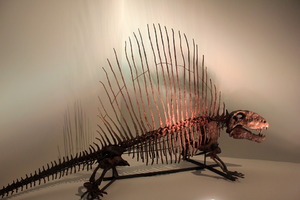 DimetrodonFossil.png