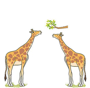 GiraffeEvolution2.png