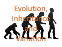EvolutionInheritanceandVariationLogo.png
