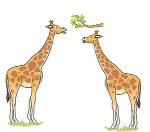 GiraffeEvolution4.png