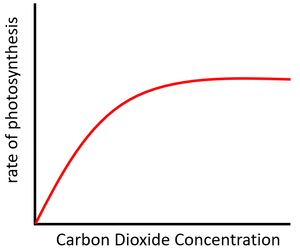 PhotosynthesisRateCarbonDioxide.png