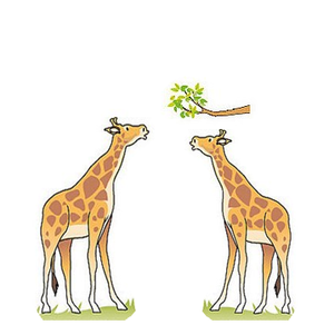 GiraffeEvolution1.png