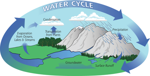 WaterCycle.png