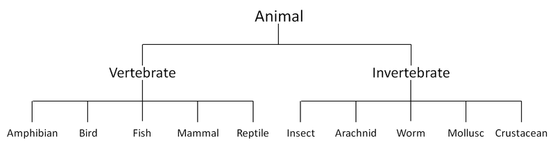 AnimalClassification2.png