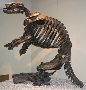 GiantSlothFossil.png