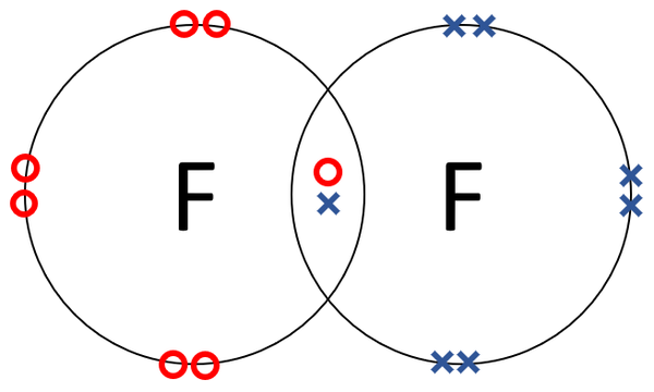 Fluorine Molecule Diagram
