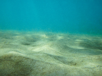 SandWaterMixture.png